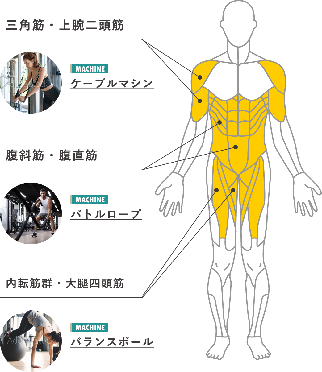 『ゴルフで筋肉つくり』についてまとめてみた